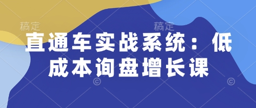 直通車實戰系統：低成本詢盤增長課插圖